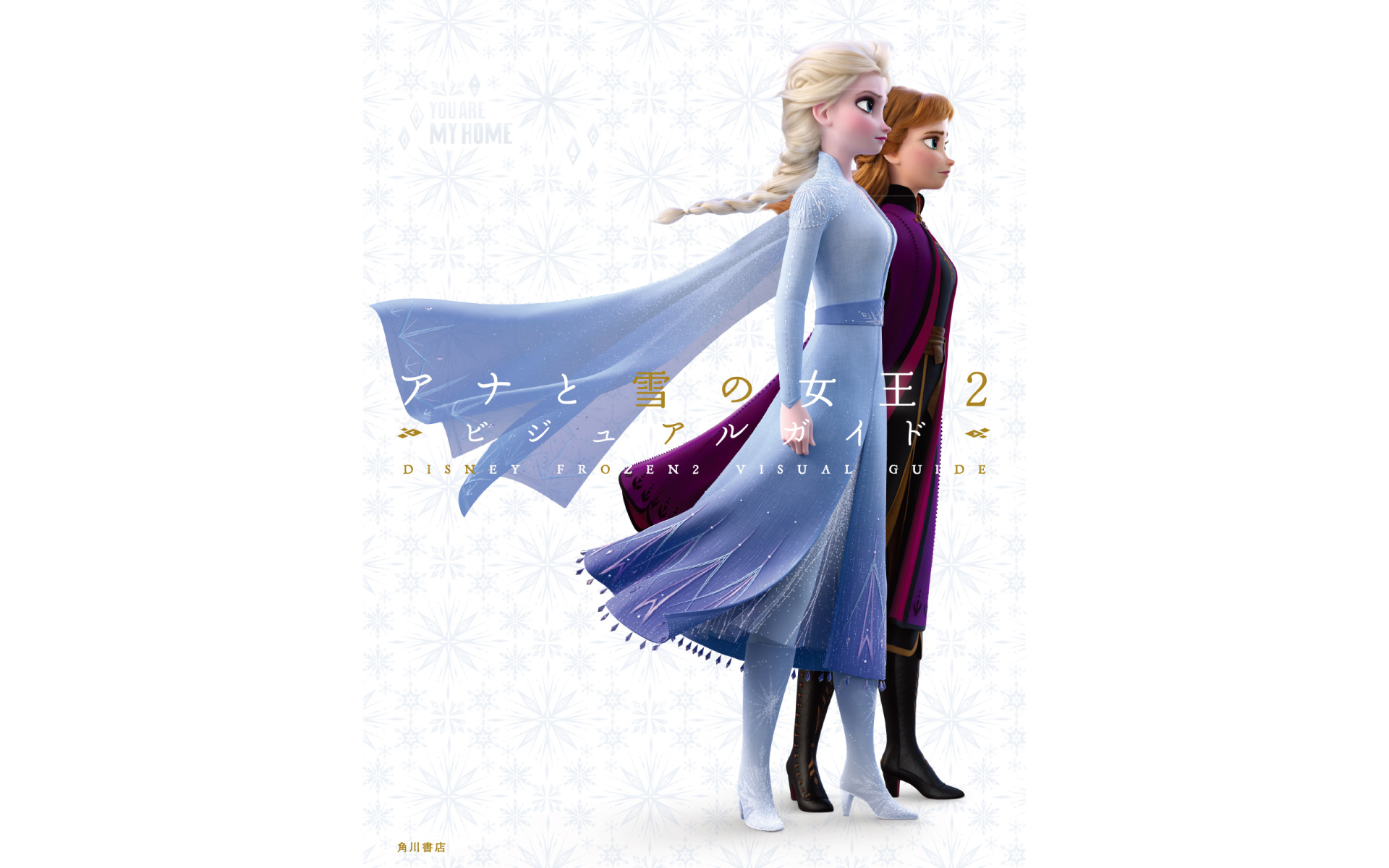 アナと雪の女王2 ビジュアルガイドの作例写真