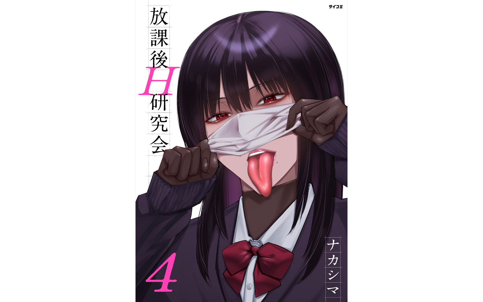 放課後H研究会の作例写真