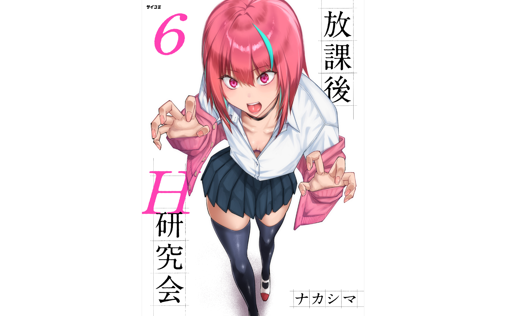 放課後H研究会の作例写真